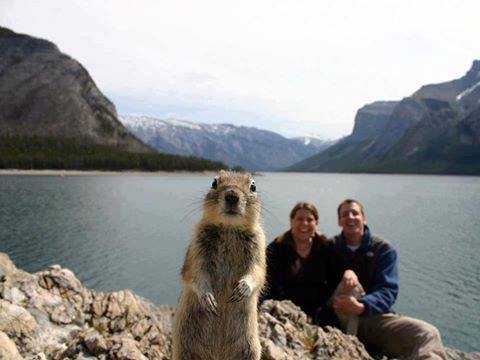 squirrel photobombs some hikers' pic